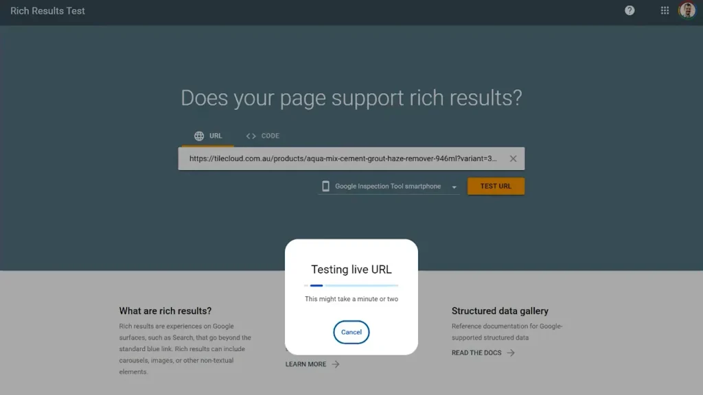 Google Rich Results Test screenshot