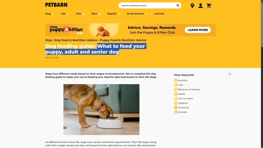 article example 'what to feed a dog'