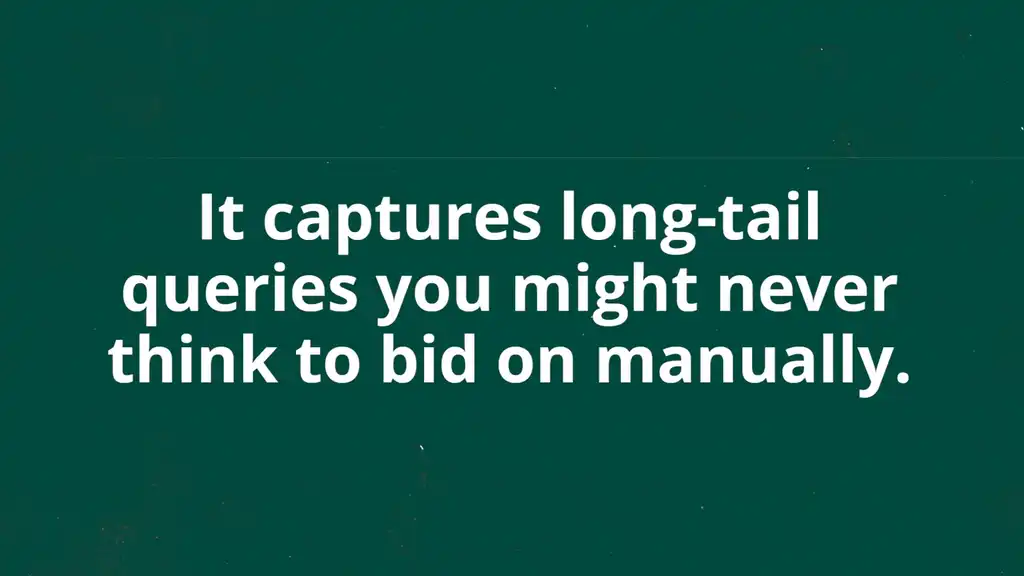 capture long tail queries