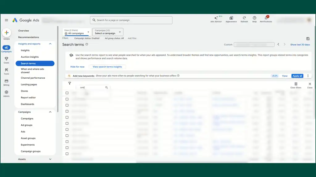 Google Ads search terms