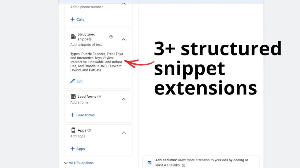 3+ structured snippet extensions