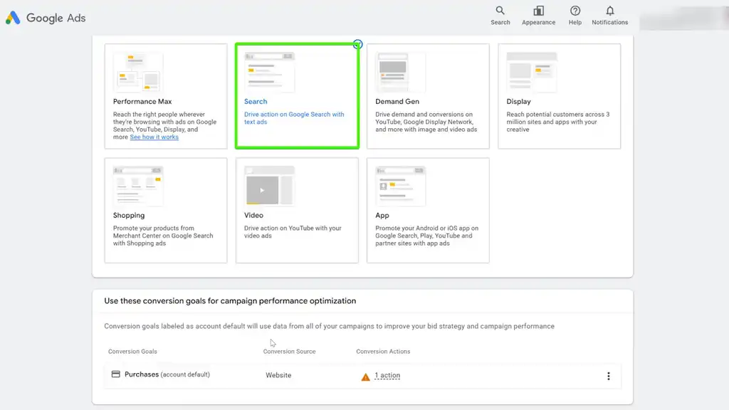 One search and one shopping campaign