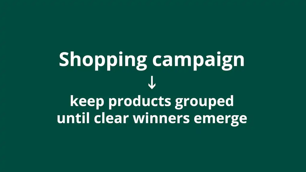 Shopping campaign structure