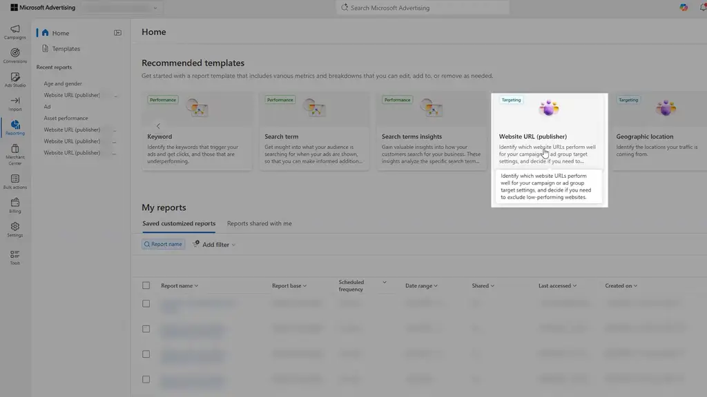 Go to website publisher report